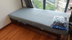 J Gateway (D22), Condominium #513550241